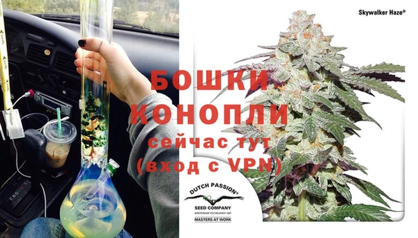 спайс Осинники